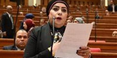 النائبة جيهان شاهين: الاتصال المشترك مع الرئيس السيسي يؤكد أن مصر تقود جهود حماية المنطقة من الفوضى وترسيخ مسار السلام