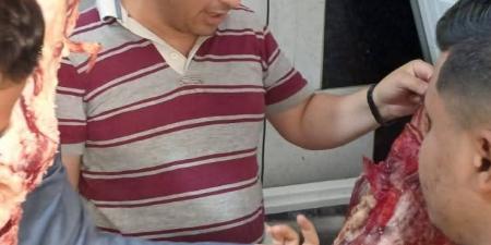 طب بيطري بني سويف تكثف حملاتها الرقابية على الأسواق ومحال الجزارة استعدادًا لعيد الأضحى وتحرر محاضر لمخالفات متنوعة