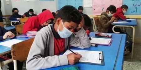 منصة نجاح نتائج السادس الابتدائي 2026 في العراق (الرابط وطريقة الاستعلام)