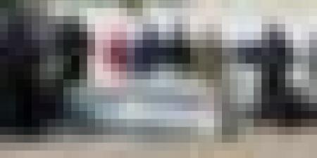 ضبط 2400 قرص بريغابلين وتوقيف 4 أشخاص بوهران