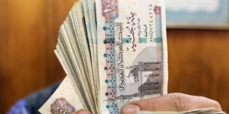 وفقا للقانون.. أسباب وقف المعاش في قانون التأمينات الاجتماعية وطرق استئنافه