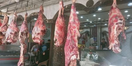 أسعار اللحوم تواصل الصعود.. الضأن والبتلو والكندوز يسجلون زيادات جديدة