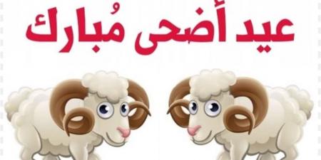 أجمل عبارات تهنئة عيد الأضحى 2026.. رسائل رسمية ودينية