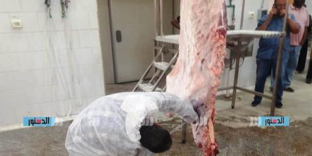 "بيطري بالبحر الأحمر": الذبح داخل المجازر مجانًا خلال العيد.. وغرامات وعقوبات للمخالفين بالشوارع