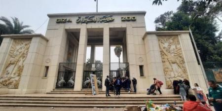 مدير حدائق الحيوان تعلن جاهزية الحدائق الإقليمية وحديقة الأسماك لاستقبال زوار العيد
