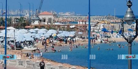 الإسكندرية: الرايات الخضراء ترفع على شواطئ المنتزه والسباحة آمنة نسبيًا