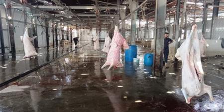 خريطة المجازر الحكومية المطورة بالمحافظات.. شروط وأماكن ذبح الأضاحي مجاناً في العيد