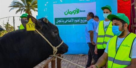 ثاني أيام العيد.. "الأورمان" تواصل ملحمة الخير بنحر وتوزيع لحوم الأضاحي