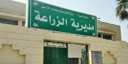 "زراعة الجيزة": تعامل فوري مع أي حالات تعدٍ على الأراضي الزراعية