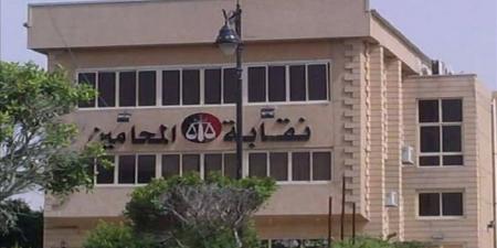 "المحامين" تكشف تفاصيل مقتل محامية على يد طليقها بالإسكندرية