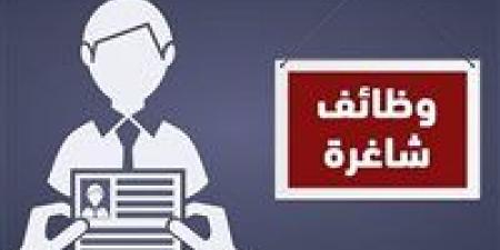 وزارة العمل تعلن عن وظائف بمدينتي 6 أكتوبر والعبور برواتب مجزية
