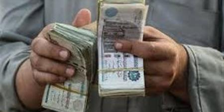 الاستعلام عن معاش تكافل وكرامة يونيو 2026 بالرقم القومي