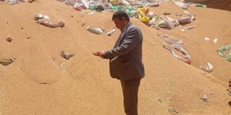 وكيل "تموين المنوفية" يتابع ميدانيًا مواقع استلام وتخزين الأقماح