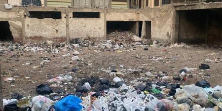 محافظ الدقهلية يكلف بإطلاق حملة نظافة بقرية منية سمنود