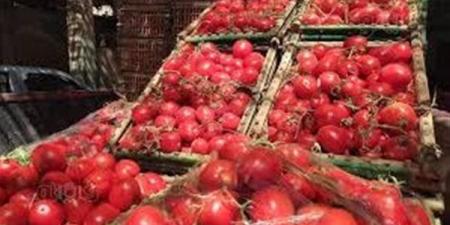 تراجع أسعار الطماطم والخضروات بالأسواق اليوم.. والبطاطس بين 15 و20 جنيهًا