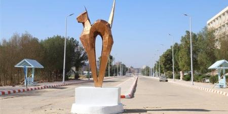 جامعة قنا: إنشاء مركز للإرشاد والدعم النفسي