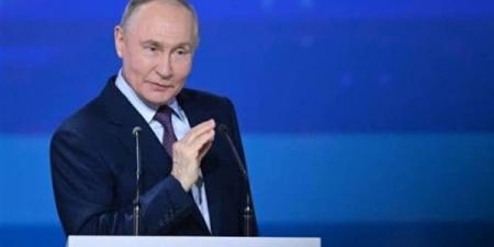 بوتين: مصر الشريك الأهم في الشرق الأوسط.. ونقدر جهود الرئيس السيسي