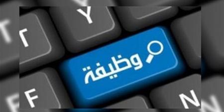 عاجل.. وسط الدلتا للكهرباء تعلن عن وظائف شاغرة.. الشروط وطريقة التقديم