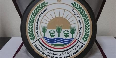 حصيلة "البحوث الزراعية" الأسبوعية.. فحص 8000 طن بطاطس وزراعة 10 أفدنة تقاوي