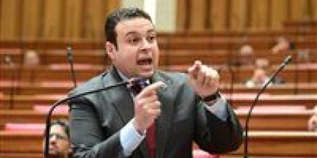 رئيس حزب العدل يطالب بتفعيل قانون التأمينات وصرف التعويضات للمتضررين من أزمة المنظومة الجديدة