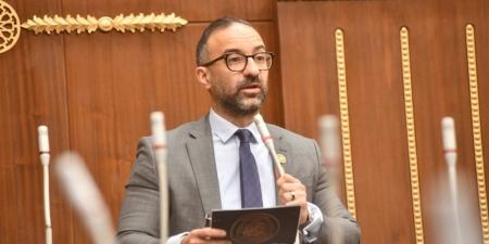 النائب أحمد الحمامصي يطالب بمساواة تنفيذ أحكام النفقة والرؤية والاستضافة