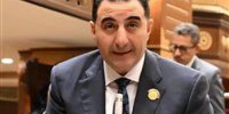 برلمانية المؤتمر بمجلس الشيوخ: وعي المصريين أفشل حرب الشائعات وحافظ على استقرار الدولة