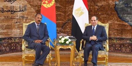 برلماني: لقاء الرئيس السيسي بنظيره الإريتري يعكس قوة الدور المصري في حماية أمن البحر الأحمر