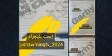 تداول امتحانات الشهادة الإعدادية على تليجرام اليوم بعد بدء اللجان.. والتعليم تتابع