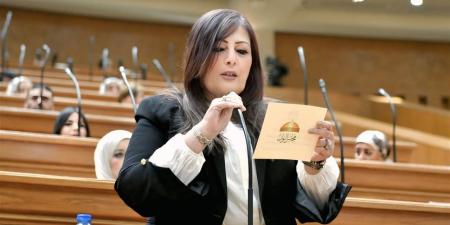 إليزابيث شاكر: قمة السيسي وأفورقي تؤسس لتحالف استراتيجي يحمي أمن البحر الأحمر والقرن الأفريقي