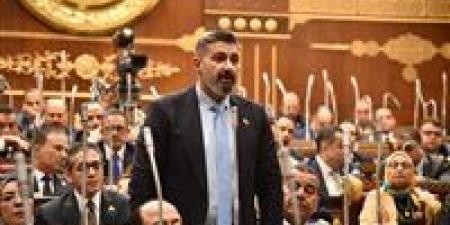 النائب ياسر جلال يطالب بتعظيم دور القوى الناعمة في خطة التنمية: الثقافة والإعلام مصدر مهم للدخل القومي