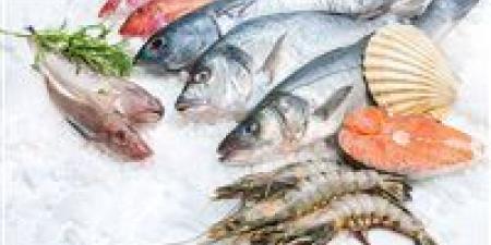أسعار الأسماك اليوم.. البلطي والبوري في صدارة البحث
