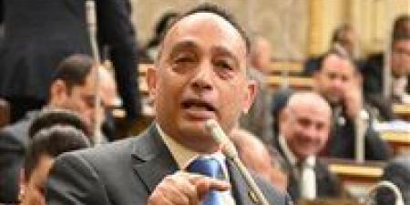النائب فريدي البياضي: أرفض التحول للدعم النقدي بالكامل.. وضبط المنظومة أفضل من إلغائها