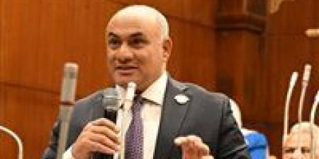 النائب شعبان رأفت: مصر مؤهلة لجذب استثمارات أكبر.. ونطالب بتمكين القطاع الخاص وفتح أسواق جديدة للعمالة المصرية بالخارج