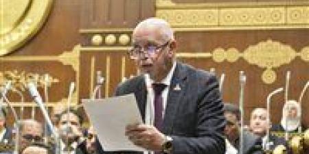 النائب حازم الجندي يطالب بالشفافية في ترشيد الإنفاق الحكومي وخطة متكاملة لدعم الصناعة والصادرات وتعزيز مشاركة المصريين بالخارج