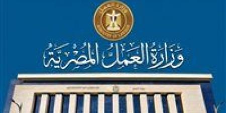 وزارة العمل تحذر من إعلانات التوظيف الوهمية بالخارج