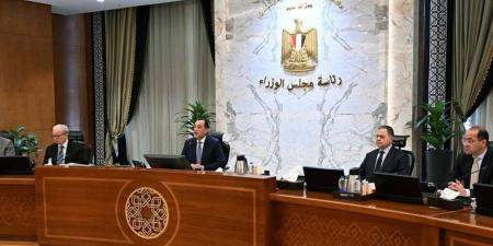 رقم تاريخي.. رئيس الوزراء: توريد 4.6 مليون طن قمح من المزارعين حتى الآن