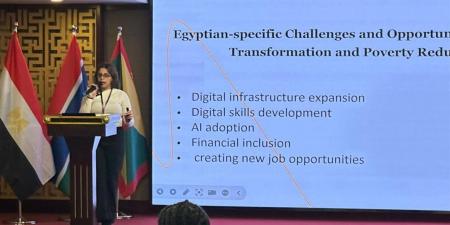 المصري الديمقراطي يستعرض تجربتي مصر والصين في الاقتصاد الرقمي ومكافحة الفقر