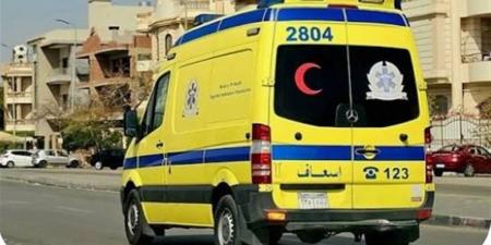 وفاة رضيع وإصابة 4 أخرين في حادث سير بالوادي الجديد