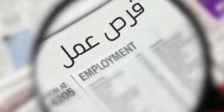 قدم الآن.. 825 وظيفة برواتب تصل إلى 15 ألف جنيه ووزارة العمل تعلن التفاصيل