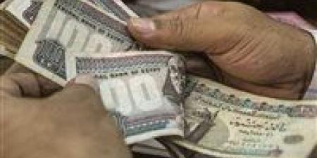 وزارة العمل تعلن عن 4504 فرصة عمل جديدة في 14 محافظة خلال يونيو 2026