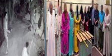 ضبط 12 شخصا بسبب التشاجر بالشوم في دمنهور