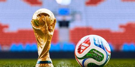 ببغاء يتوقع نتيجة مباراة مصر وبلجيكا في كأس العالم (فيديو)