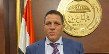 عضو بالشيوخ: 30 يونيو تمثل علامة فارقة في التاريخ المصري الحديث