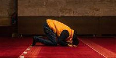 أمين الفتوى يوضح حكم الصلاة بالقراءة من المصحف والهاتف وضوابط الدعاء المكتوب