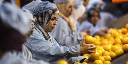الصناعات الغذائية المصرية تواصل النمو خلال أول أربعة أشهر من 2026