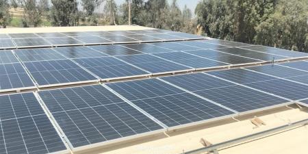 "التنمية المحلية والبيئة" تدعم مبادرات تعزيز التحول نحو الاقتصاد الأخضر