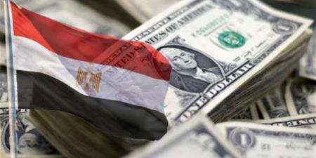 خبراء: توسع برنامج الطروحات يعزز ثقة المستثمرين ويدعم الاقتصاد المصري