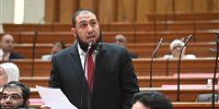 النائب محمود رشاد يتقدم بطلب إحاطة بشأن إدراج عدد من القرى والتوابع بـ "أبو حمص وإدكو" ضمن مشروعات الصرف الصحي