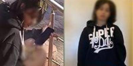 ضبط فتاة أجنبية بعد تداول فيديو لتدخينها سيجارة مخدرة بقرية سياحية في مطروح
