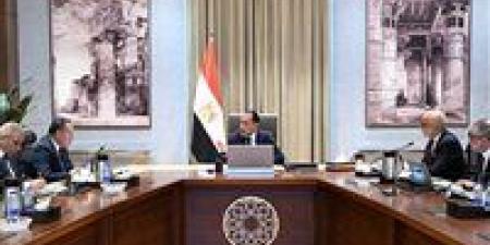 رئيس الوزراء يستعرض الموقف التنفيذي لمشروع المدينة الطبية لجامعة عين شمس والإجراءات المتخذة